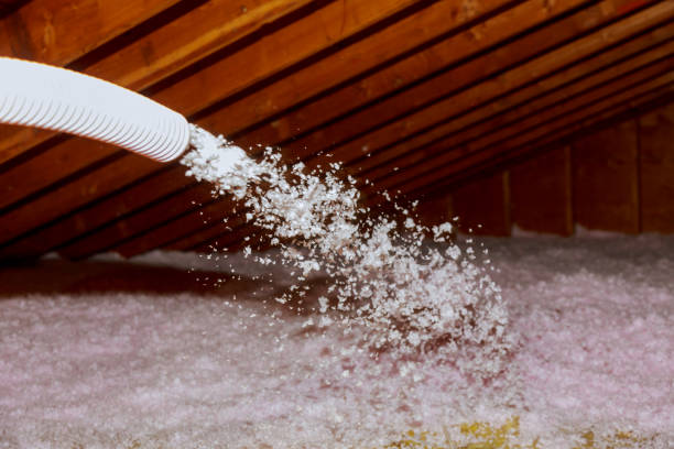 Best Insulation Maintenance and Repair in Walce, LA
