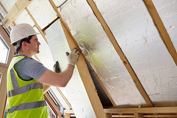 Best Eco-Friendly Insulation in Walce, LA