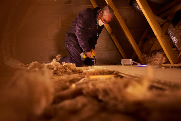 Best Energy Efficiency Insulation in Walce, LA